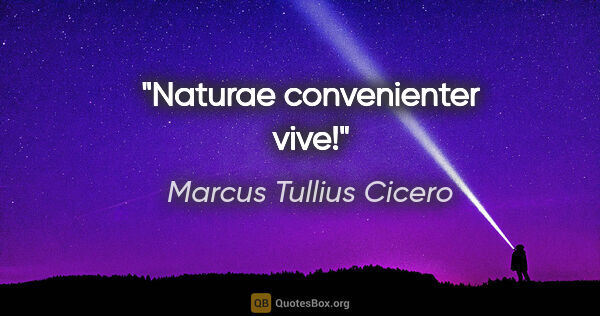 Marcus Tullius Cicero Zitat: "Naturae convenienter vive!"