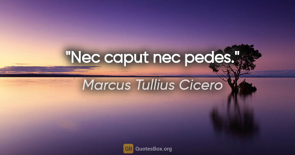 Marcus Tullius Cicero Zitat: "Nec caput nec pedes."