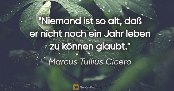 Marcus Tullius Cicero Zitat: "Niemand ist so alt, daß er nicht noch ein Jahr leben zu können..."
