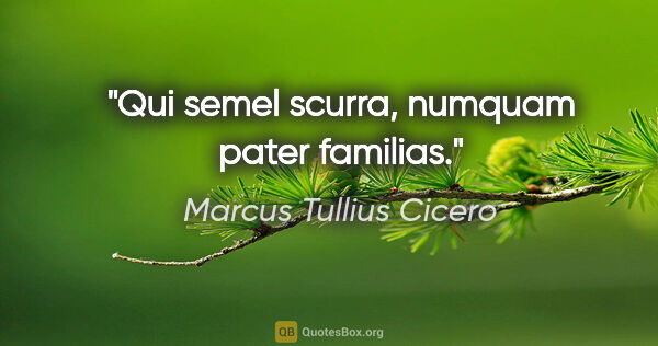 Marcus Tullius Cicero Zitat: "Qui semel scurra, numquam pater familias."