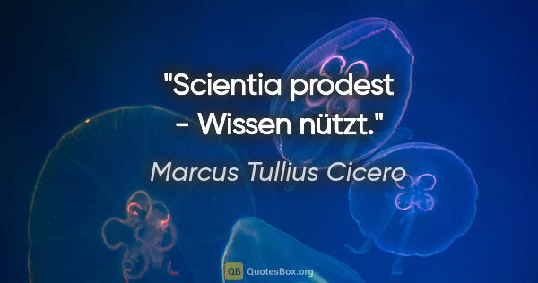 Marcus Tullius Cicero Zitat: "Scientia prodest - Wissen nützt."