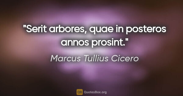Marcus Tullius Cicero Zitat: "Serit arbores, quae in posteros annos prosint."