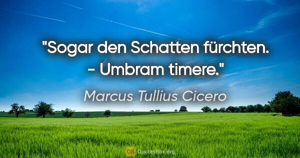 Marcus Tullius Cicero Zitat: "Sogar den Schatten fürchten. - Umbram timere."