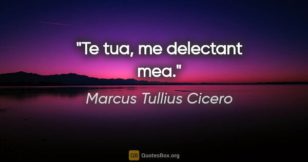 Marcus Tullius Cicero Zitat: "Te tua, me delectant mea."