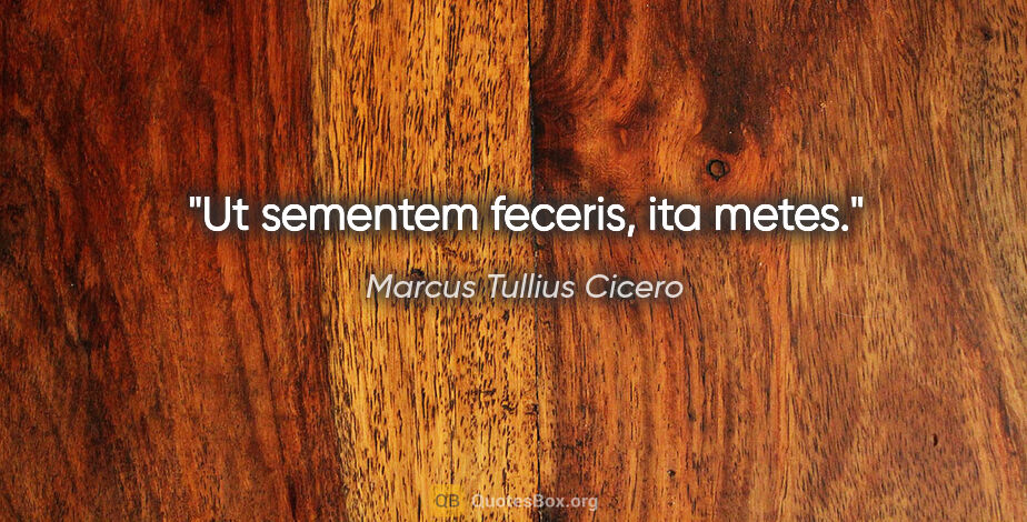 Marcus Tullius Cicero Zitat: "Ut sementem feceris, ita metes."