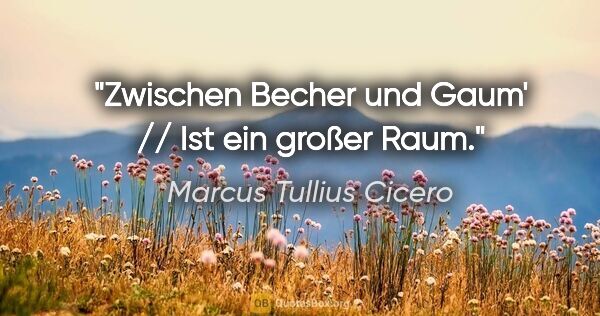 Marcus Tullius Cicero Zitat: "Zwischen Becher und Gaum' // Ist ein großer Raum."