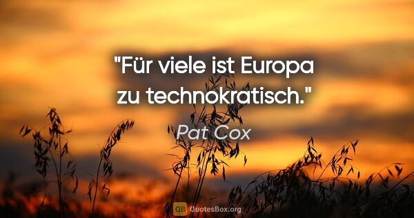 Pat Cox Zitat: "Für viele ist Europa zu technokratisch."