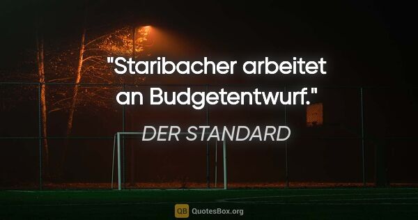 DER STANDARD Zitat: "Staribacher arbeitet an Budgetentwurf."