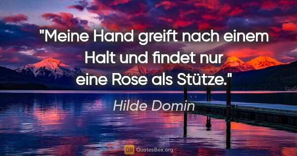 Hilde Domin Zitat: "Meine Hand greift nach einem Halt und findet nur eine Rose als..."