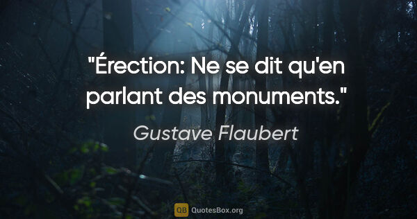 Gustave Flaubert Zitat: "Érection: Ne se dit qu'en parlant des monuments."