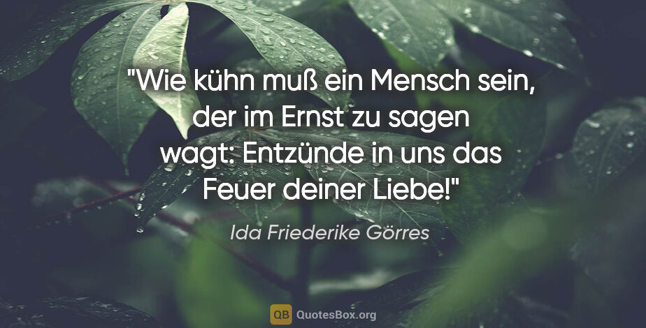 Ida Friederike Görres Zitat: "Wie kühn muß ein Mensch sein, der im Ernst zu sagen wagt:..."