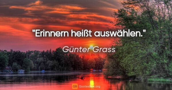 Günter Grass Zitat: "Erinnern heißt auswählen."