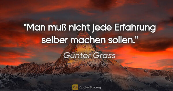 Günter Grass Zitat: "Man muß nicht jede Erfahrung selber machen sollen."