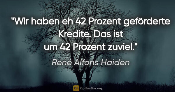 René Alfons Haiden Zitat: "Wir haben eh 42 Prozent geförderte Kredite. Das ist um 42..."