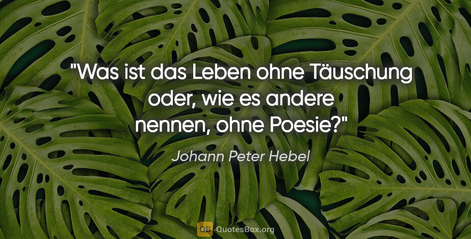 Johann Peter Hebel Zitat: "Was ist das Leben ohne Täuschung oder, wie es andere nennen,..."