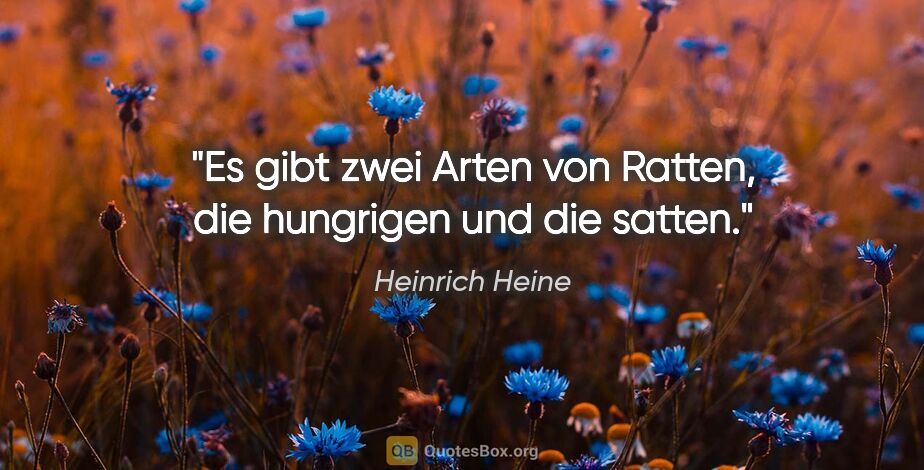 Heinrich Heine Zitat: "Es gibt zwei Arten von Ratten, die hungrigen und die satten."