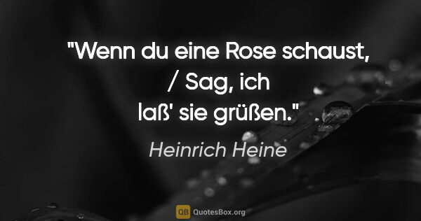 Heinrich Heine Zitat: "Wenn du eine Rose schaust, / Sag, ich laß' sie grüßen."