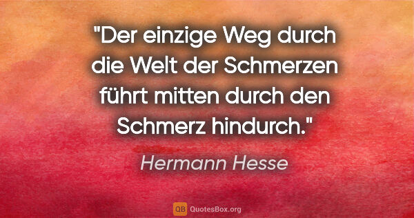 Hermann Hesse Zitat: "Der einzige Weg durch die Welt der Schmerzen führt mitten..."