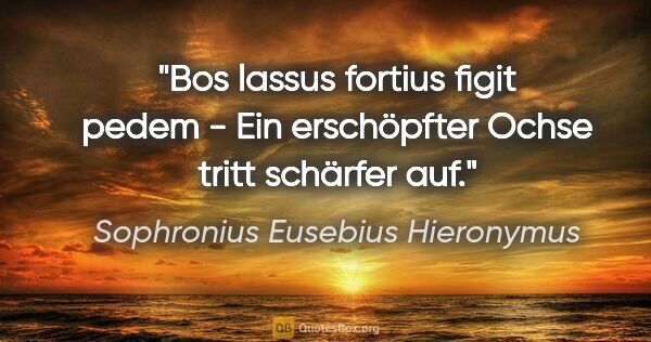 Sophronius Eusebius Hieronymus Zitat: "Bos lassus fortius figit pedem - Ein erschöpfter Ochse tritt..."