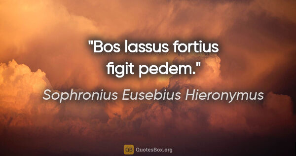 Sophronius Eusebius Hieronymus Zitat: "Bos lassus fortius figit pedem."
