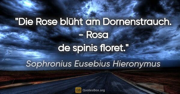 Sophronius Eusebius Hieronymus Zitat: "Die Rose blüht am Dornenstrauch. - Rosa de spinis floret."