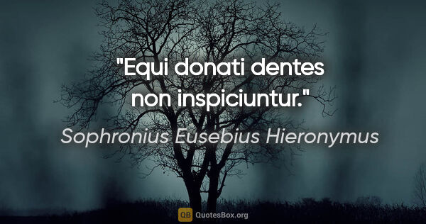 Sophronius Eusebius Hieronymus Zitat: "Equi donati dentes non inspiciuntur."