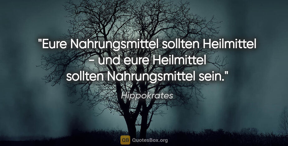 Hippokrates Zitat: "Eure Nahrungsmittel sollten Heilmittel - und eure Heilmittel..."