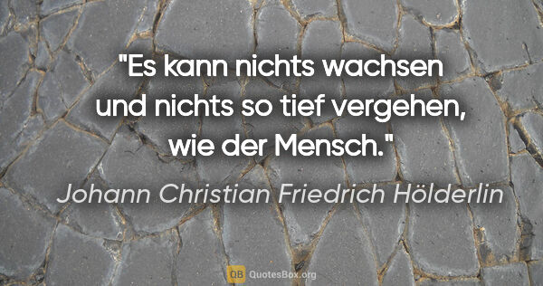Johann Christian Friedrich Hölderlin Zitat: "Es kann nichts wachsen und nichts so tief vergehen, wie der..."
