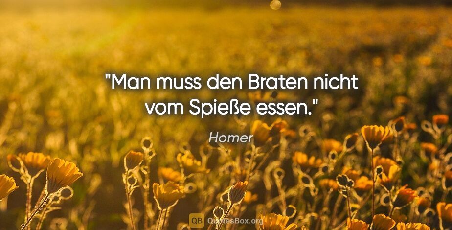 Homer Zitat: "Man muss den Braten nicht vom Spieße essen."