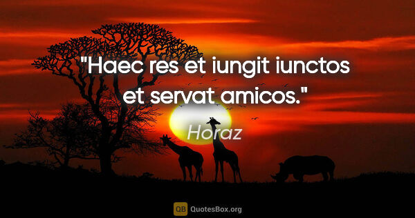 Horaz Zitat: "Haec res et iungit iunctos et servat amicos."