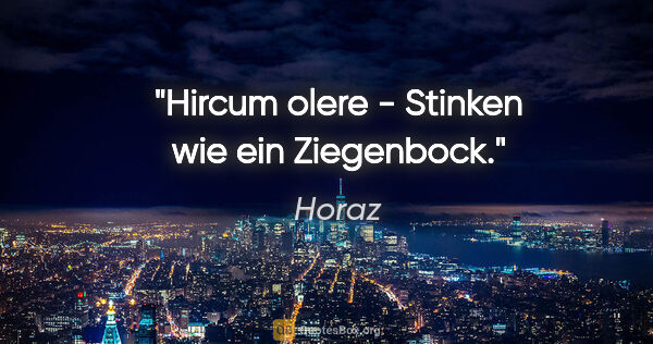 Horaz Zitat: "Hircum olere - Stinken wie ein Ziegenbock."