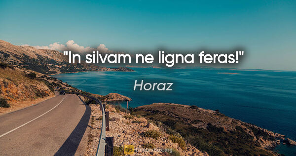 Horaz Zitat: "In silvam ne ligna feras!"