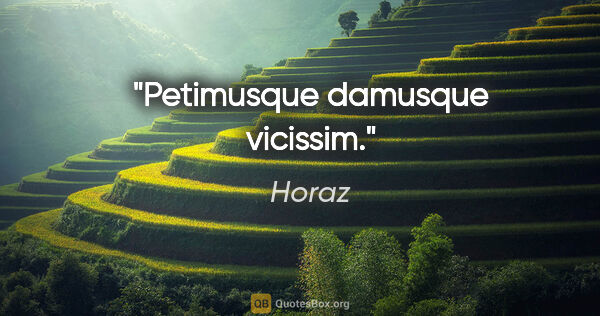 Horaz Zitat: "Petimusque damusque vicissim."