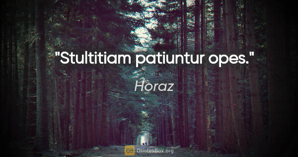 Horaz Zitat: "Stultitiam patiuntur opes."