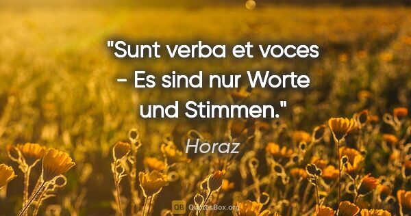 Horaz Zitat: "Sunt verba et voces - Es sind nur Worte und Stimmen."