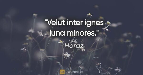 Horaz Zitat: "Velut inter ignes luna minores."
