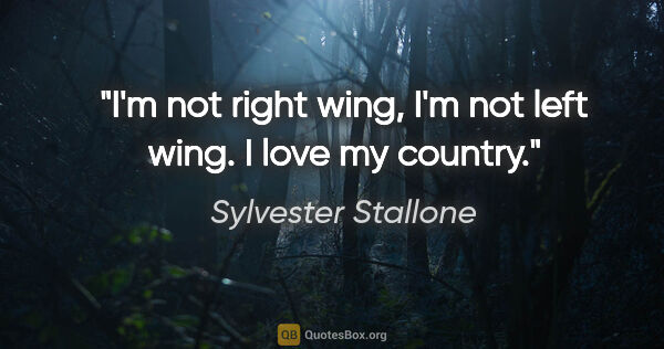 Sylvester Stallone quote: "I'm not right wing, I'm not left wing. I love my country."