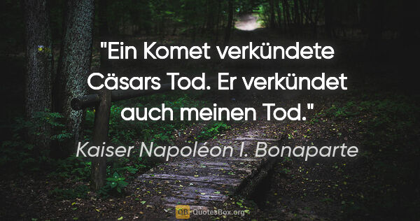 Kaiser Napoléon I. Bonaparte Zitat: "Ein Komet verkündete Cäsars Tod. Er verkündet auch meinen Tod."