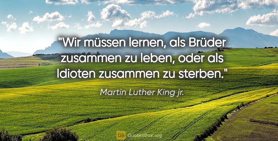 Martin Luther King jr. Zitat: "Wir müssen lernen, als Brüder zusammen zu leben, oder als..."