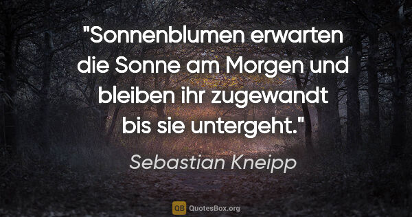 Sebastian Kneipp Zitat: "Sonnenblumen erwarten die Sonne am Morgen und bleiben ihr..."