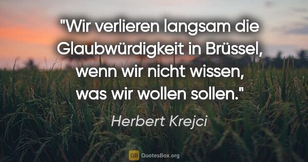 Herbert Krejci Zitat: "Wir verlieren langsam die Glaubwürdigkeit in Brüssel, wenn wir..."