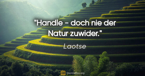 Laotse Zitat: "Handle - doch nie der Natur zuwider."