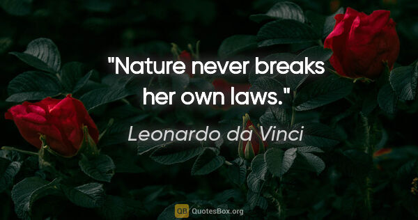 Leonardo da Vinci Zitat: "Nature never breaks her own laws."