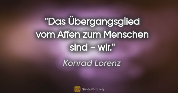 Konrad Lorenz Zitat: "Das Übergangsglied vom Affen zum Menschen sind - wir."