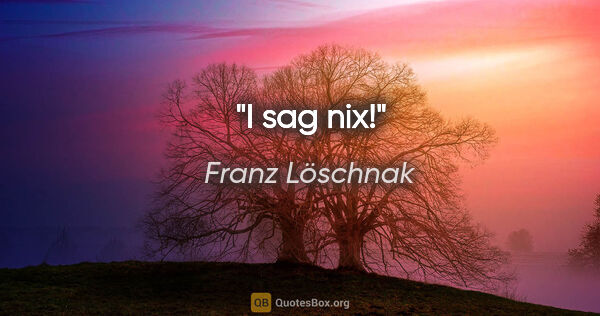 Franz Löschnak Zitat: "I sag nix!"