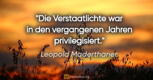 Leopold Maderthaner Zitat: "Die Verstaatlichte war in den vergangenen Jahren privilegisiert."