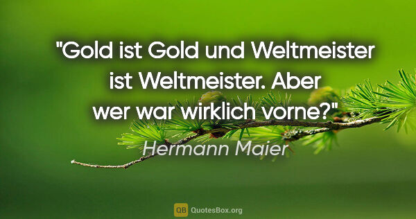Hermann Maier Zitat: "Gold ist Gold und Weltmeister ist Weltmeister. Aber wer war..."