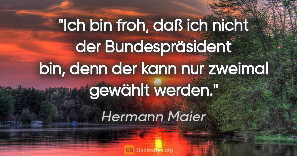 Hermann Maier Zitat: "Ich bin froh, daß ich nicht der Bundespräsident bin, denn der..."