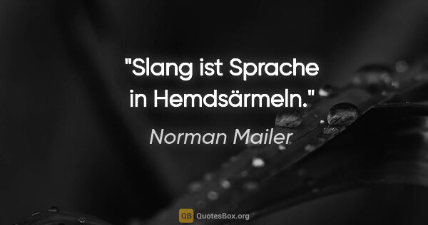 Norman Mailer Zitat: "Slang ist Sprache in Hemdsärmeln."