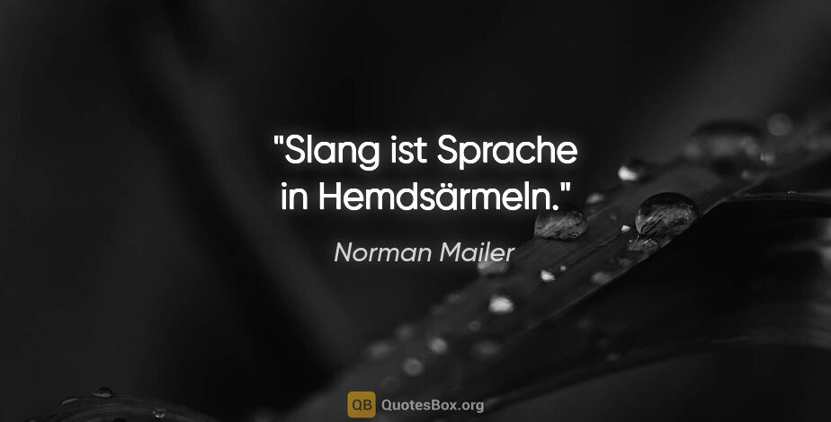 Norman Mailer Zitat: "Slang ist Sprache in Hemdsärmeln."